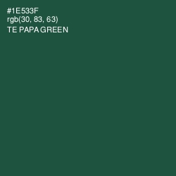 #1E533F - Te Papa Green Color Image